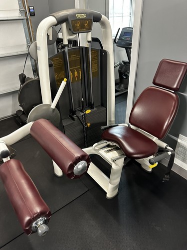 Technogym seated leg - curl,