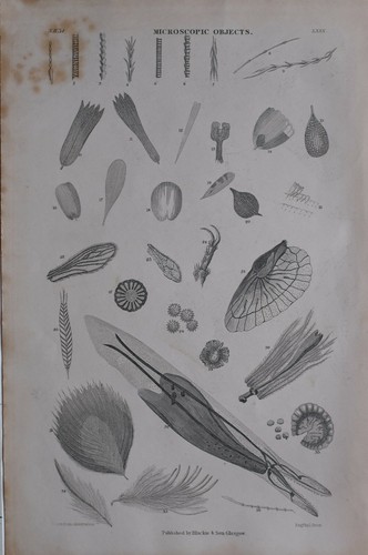 1877 stampa oggetti - 1877,