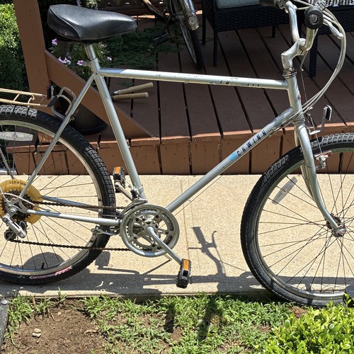 Schwinn silver cruiser - silver,