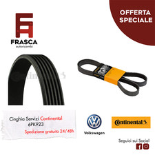 Cinghia Servizi Poly-V