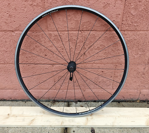 Ruota anteriore bicicletta