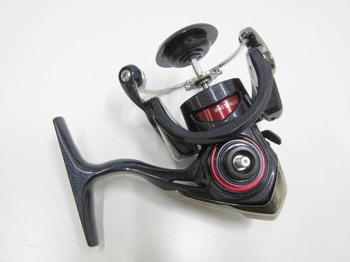 Corpo daiwa queen the - daiwa, of