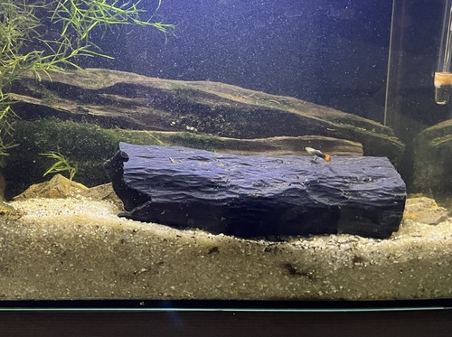 Pleco breeding cave hide - pleco,