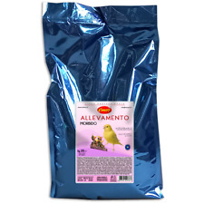 CANARY PASTONE ALLEVAMENTO