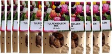 300 bulbi di tulipano, miscela di tulipani! 15 sacchetti da 20, diversi colori