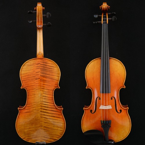 Violino livello professionale