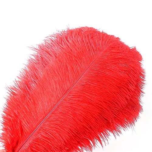 Dcrwvcton piume naturali - 20, di