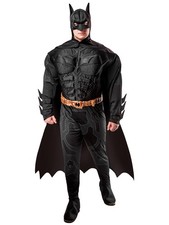 Batman the Dark Knight Muscle