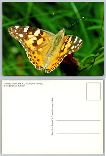 Cartolina dipinta lady - dipinta,