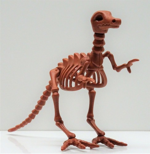 Grande dinosauro scheletro - dinosauro,