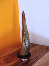 CORNO bue africano originale