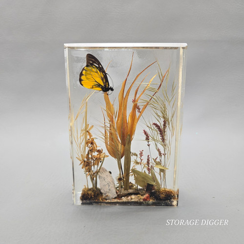 Decorazione espositore vintage