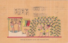 EGITTO - Lehnert & Landrock - Vino d'epoca e pressatura 1956