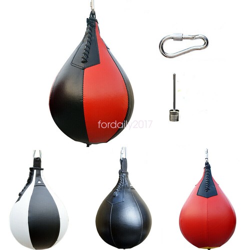 Sport palestra fitness - sport,