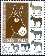 2007 italia repubblica - , asini