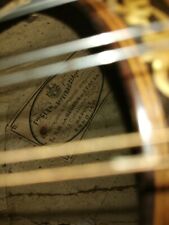 mandolino napoletano del 1891 