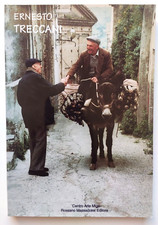 Libro Catalogo Opere Recenti Maestro Ernesto Treccani Massaccesi Ed. 1997 (L47)