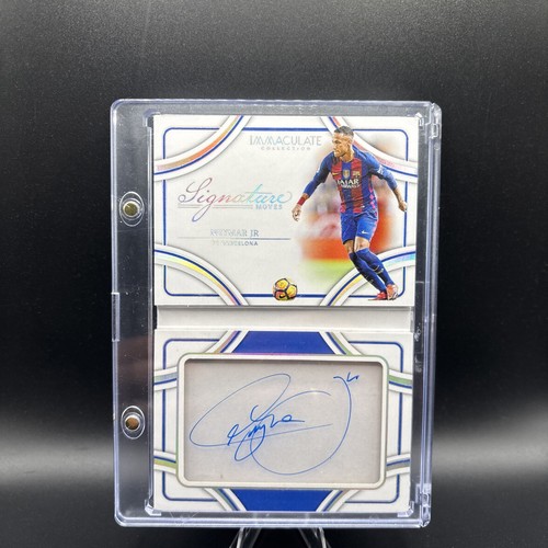2024 panini immacolata - panini,