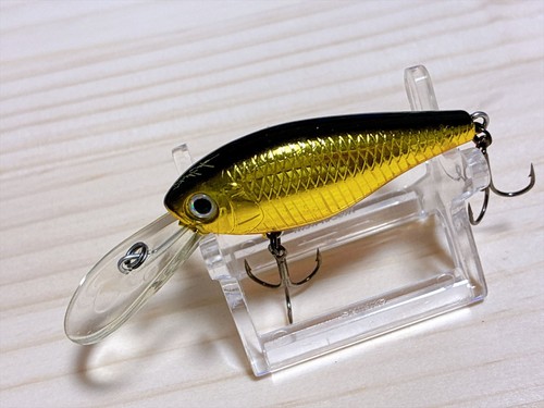 Esca pesca daiwa pro - esca, pro's