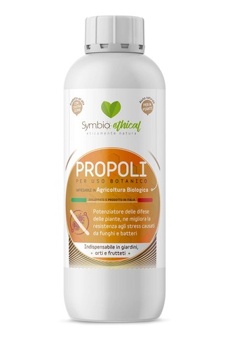Propoli potenziatore naturale - propoli,