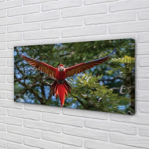 Quadro tela tulup - quadro, su