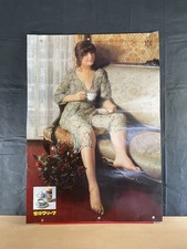 Snow BrCreamer poster promozionale articolo periodo neve