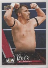 2021 AEW All Elite Wrestling