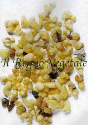 Incenso puro bio grani - bio*,