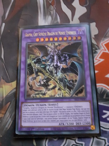 Grapha chef suprême dragon - chef, du
