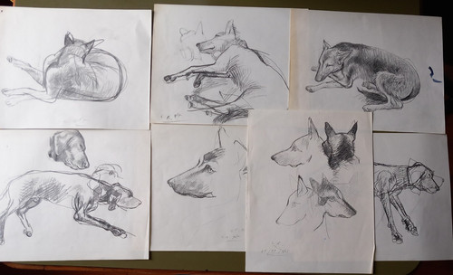Giulio ruffini 7 disegni - ruffini,