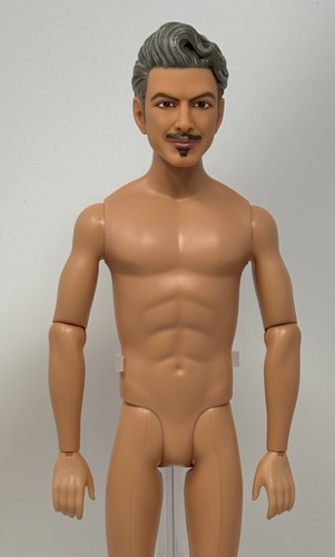 Wicked wizard barbie - wicked, ken