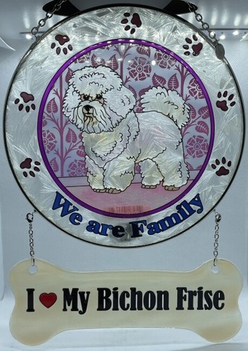 Last one amia bichon - last, frise