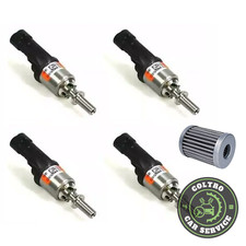 KIT 4 INIETTORI BRC GPL