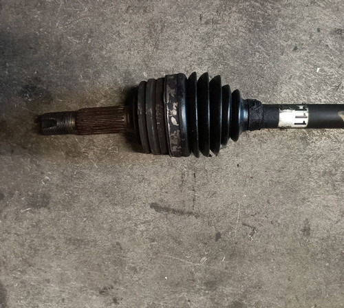 1612346880 semialbero ant - semialbero,