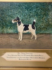 Wire Fox Terrier Dog Painting 1912 A. Stevenson 'Ba Burn Minstrel' Champion Dog