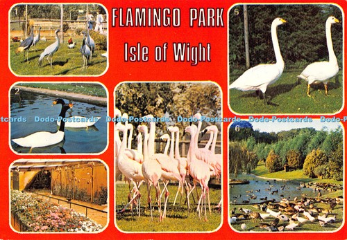 D047929 isle wight - d047929,