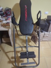 Panca Inversa (Inversion