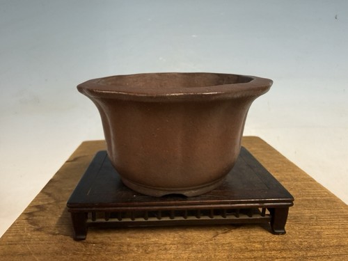 Bonsai non smaltato tokoname - smaltato,