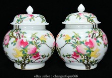 Coppia vaso vaso 7,2'' Qing