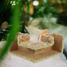  Gamberetti Agricoltura Grotta