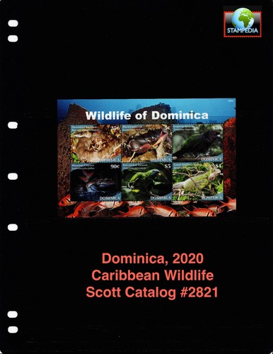 Scott value 2020 - $21,00,