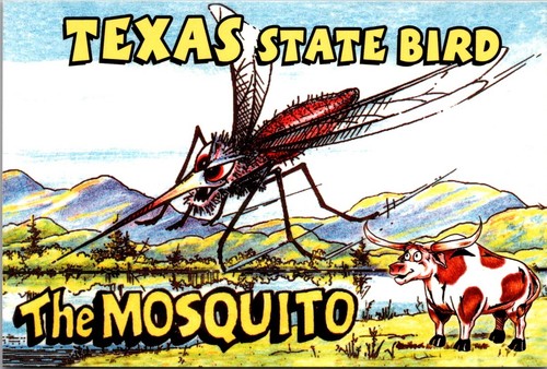 Cartolina divertente texas - divertente,