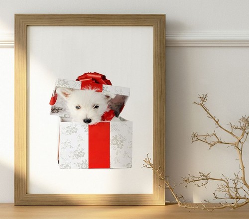 Confezione regalo cucciolo - regalo,