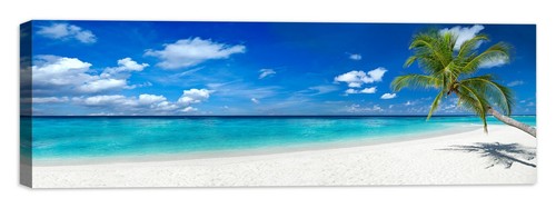 Isola tropicale quadro - isola,