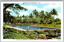 Vtg Postcard Park Swimming