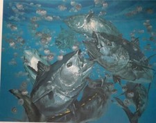 STANLEY MELTZOFF "BLUE FIN TONNA POPPING PORCUPINE PUFFERS" matita stampa firmata