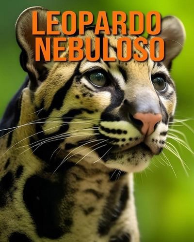 Leopardo nebuloso fatti e - nebuloso:,