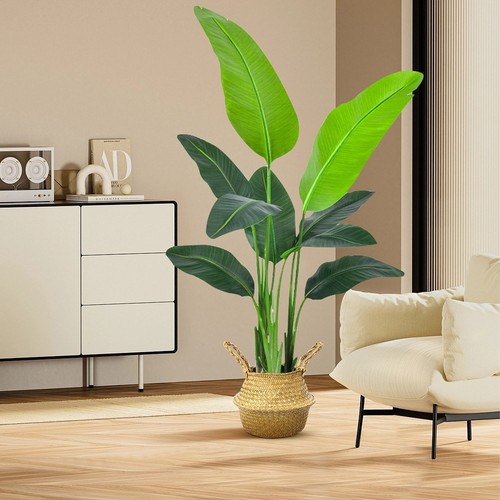 Palma banana 160 cm - palma,