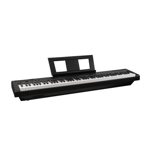 Echord ep88 black pianoforte - ep88,