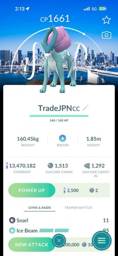 Pokémon non shiny suicune - pokémon,